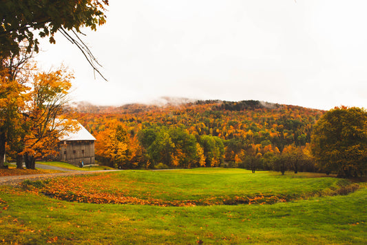 Exploring New England: Unveiling the Puzzle of Beauty and Adventure